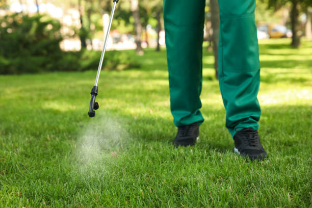 Best Commercial Pest Control Services  in Powder Springs, GA