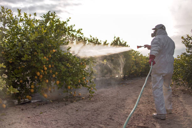 Best Exterminator Services  in Powder Springs, GA