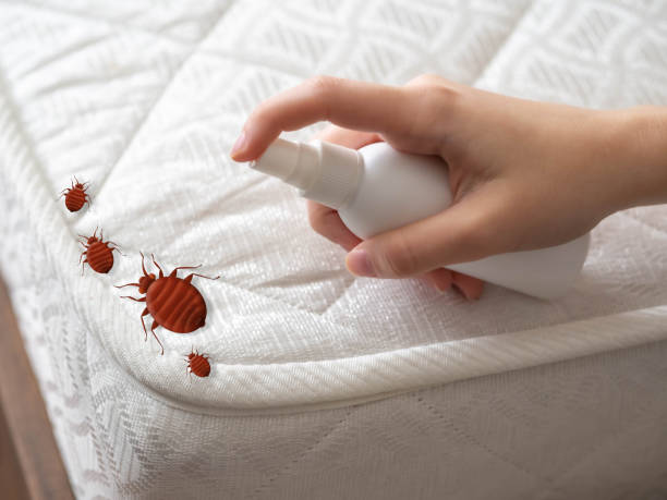 Best Residential Pest Control  in Powder Springs, GA