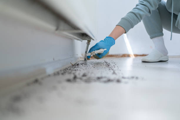 Best Commercial Pest Control Services  in Powder Springs, GA